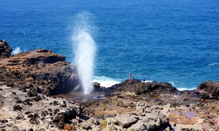 Oahu: Oahu Ultimate Grand Circle Island Tour - Diamond Head and Honolulu’s eastern edge