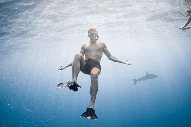 Oahu Open Water Shark Diving Experience - Safety, Swimming Ability, and Nerves