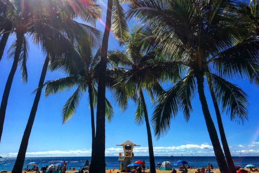 Oahu: Pearl Harbor and Honolulu City Tour - Why this $63 tour works well