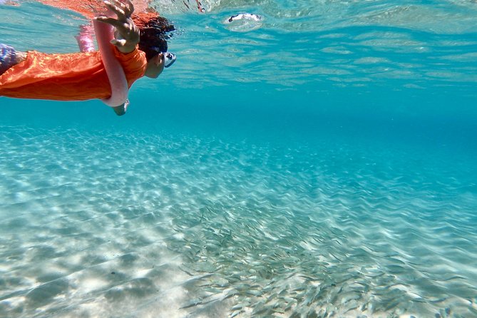 Oahu Personalized Private North Shore Highlight Custom Tour - A private North Shore day built around your interests
