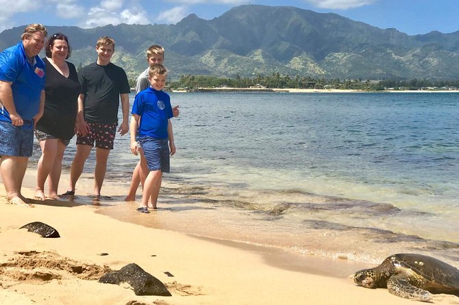 Oahu Personalized Private North Shore Highlight Custom Tour - Photograph Mokoliʻi at Kualoa Regional Park