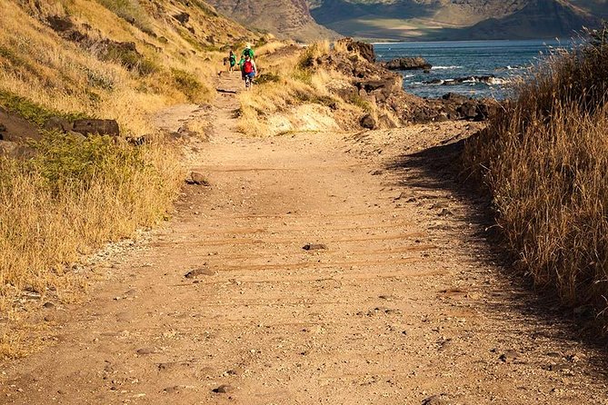Oahu Personalized Private Tour - North Shore food, surf, and small-town Hawaii