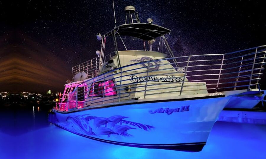 Oahu: Premium Waikiki Sunset Party Cruise with Live DJ - Key points at a glance