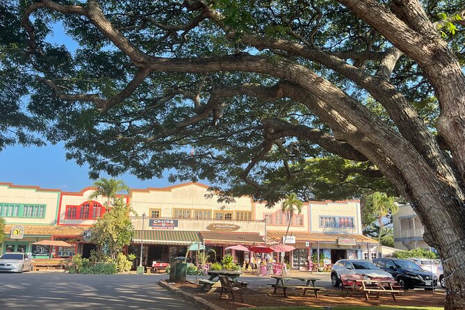Oahu Private Tour North Shore, Waimea Falls and Dole Plantation - Waimea Falls: The Day’s Main Walk