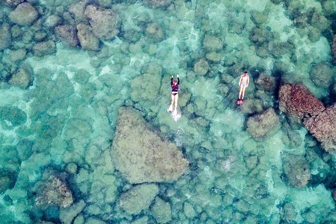 Oahu Private Tour North Shore, Waimea Falls and Dole Plantation - North Shore Surf Beaches in One Short Stretch