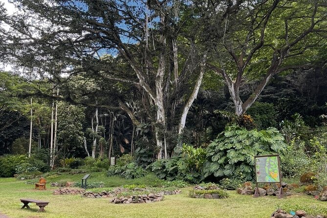 Oahu Private Tour North Shore, Waimea Falls and Dole Plantation - Haleiwa for Shave Ice, Art, and Small-Town Character