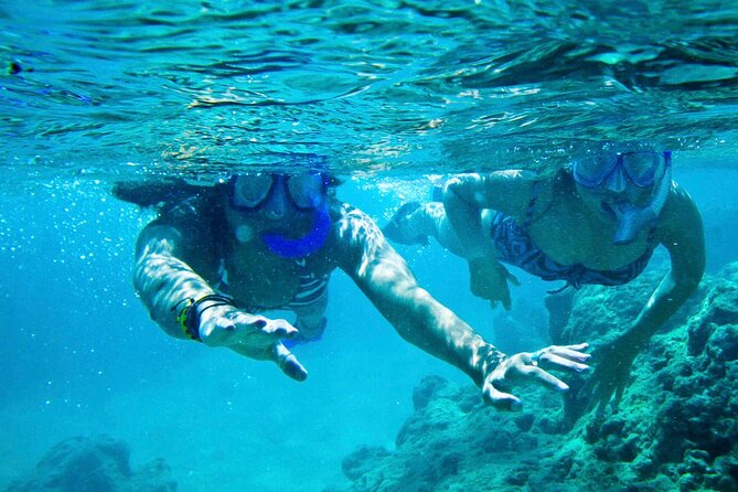 Oahu Private Tour North Shore, Waimea Falls and Dole Plantation - What the $385 Price Really Buys You