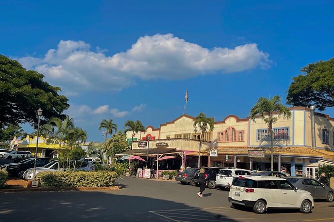 Oahu Private Tour North Shore, Waimea Falls and Dole Plantation - Laniakea Beach and the Green Sea Turtles