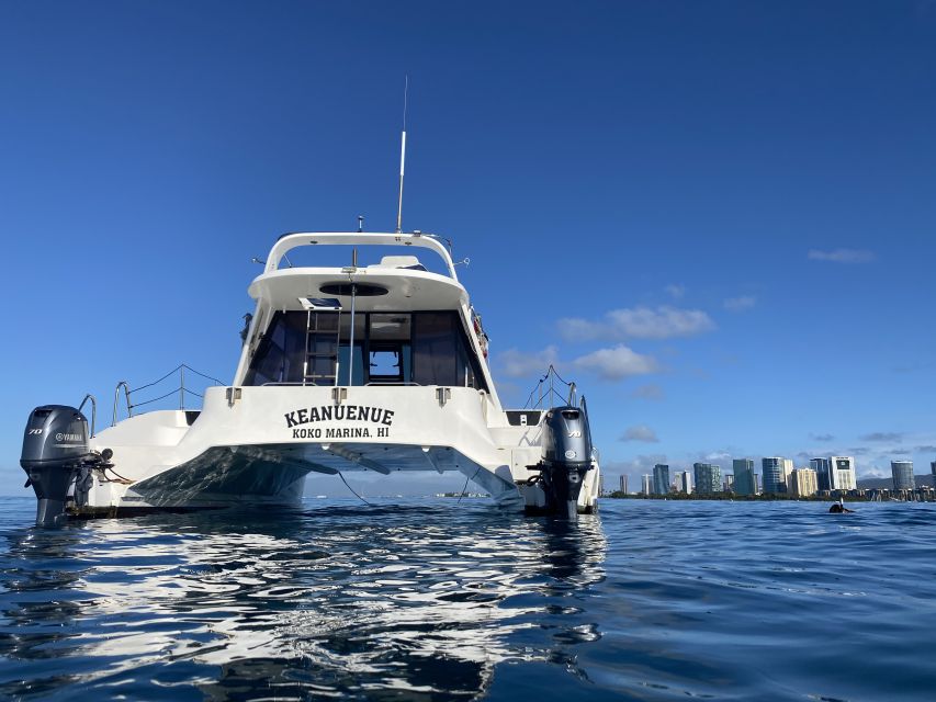 Oahu: Private Turtle Snorkeling with Customizable Itinerary - Turtle Canyon and 45 minutes in the water