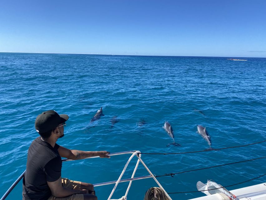 Oahu: Private Turtle Snorkeling with Customizable Itinerary - Who will enjoy this outing most