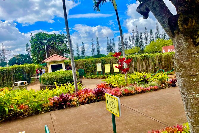Oahu: Roundtrip Shuttle From Waikiki to Dole Plantation & Haleiwa - Key points at a glance