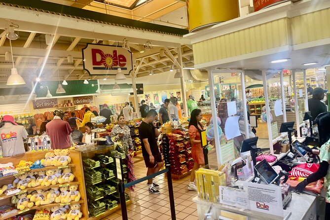 Oahu: Roundtrip Shuttle From Waikiki to Dole Plantation & Haleiwa - Dole Plantation from 9:30 to 11:30 AM