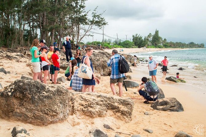 Oahu's Cheapest Circle Island Tour - What you get for $54 on a nine-hour island day