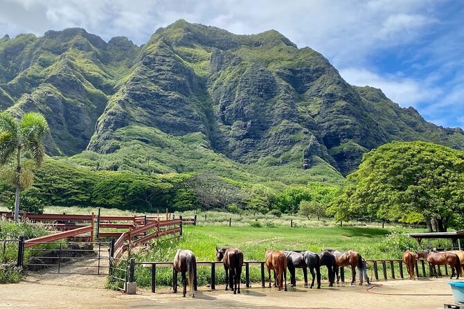 Oahu's Fun and Foodie Tour Groups of 5 or more Only! - Tropical Farms offers a slower roadside stop