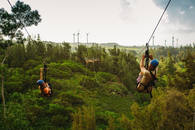 Oahu's North Shore: 8-Line Zipline Adventure - Eight lines, from a gentle start to a long final run