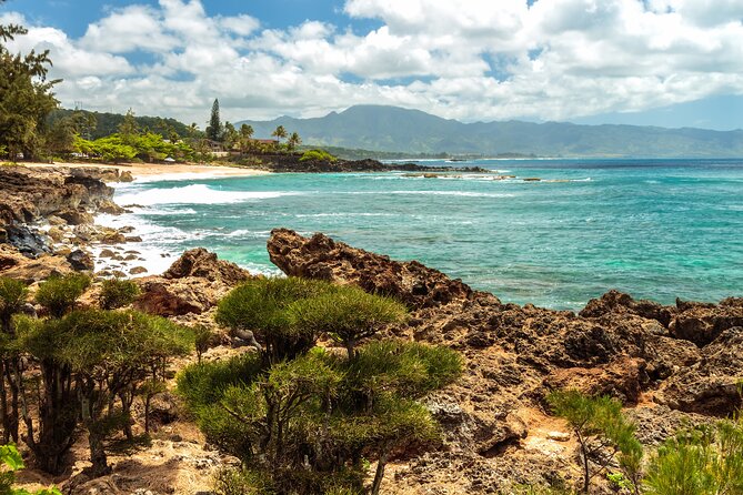 Oahu's North Shore Self-Guided Audio Tour - Sea turtles and the North Shore surf coast