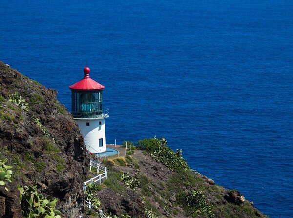 Oahu's Stunning Views: Half-Day Scenic Tour with 7 Lookouts - Key points to know before you book