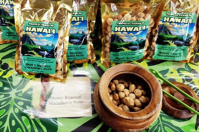 Oahu's Ultimate Tour: Dole, Turtle Snorkel, Pali Lookout & More - Turtle snorkeling is the biggest gamble