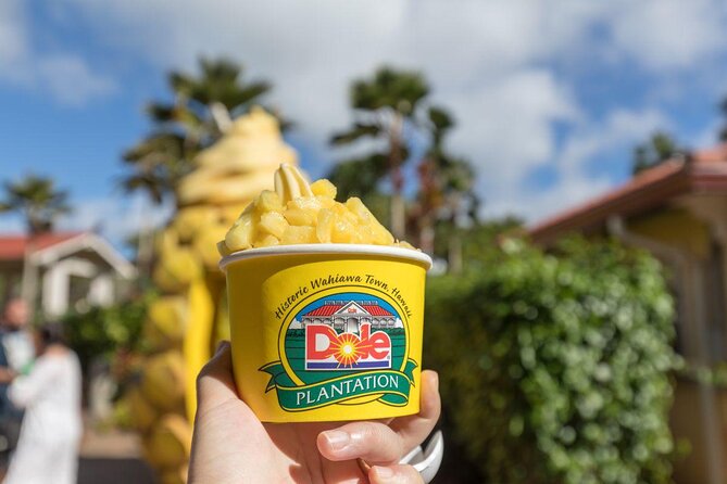 Oahu's Ultimate Tour: Dole, Turtle Snorkel, Pali Lookout & More - Dole Plantation closes a very long day