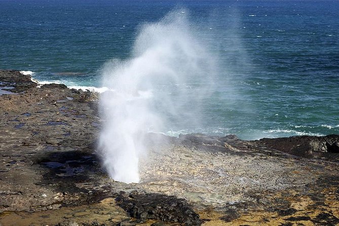 Oahu's Ultimate Tour: Dole, Turtle Snorkel, Pali Lookout & More - Guides, buses, and the human factor
