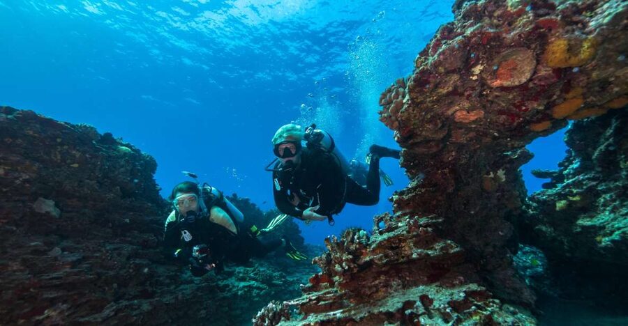 Oahu: Shallow Reef Scuba Dive for Certified Divers - Two reefs, one compact Southern Oahu outing