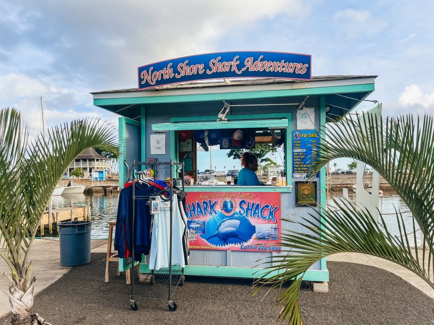 Oahu: Shark Cage Dive on the North Shore - Fifteen to 20 minutes that pass quickly
