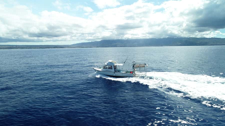 Oahu: Shark Cage Diving Experience - Heading Three Miles Offshore From Oahu’s North Shore