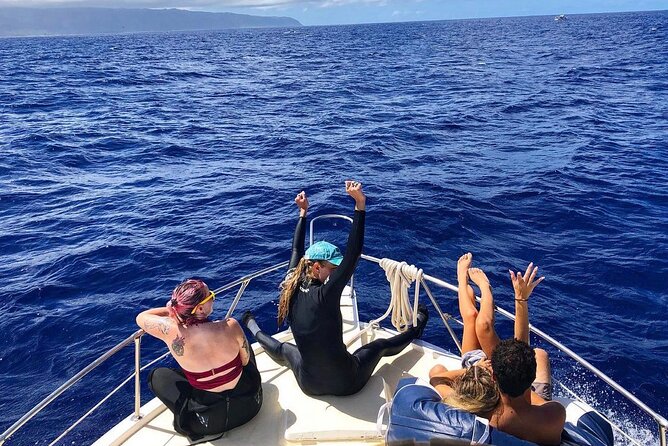 Oahu Shark Dive Educational Tour (No cage) - The Best Fit, and Who Should Think Twice