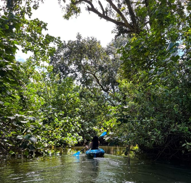 Oahu: Single & Double Kayak 3-Hour River Rental - Key points to know before you paddle