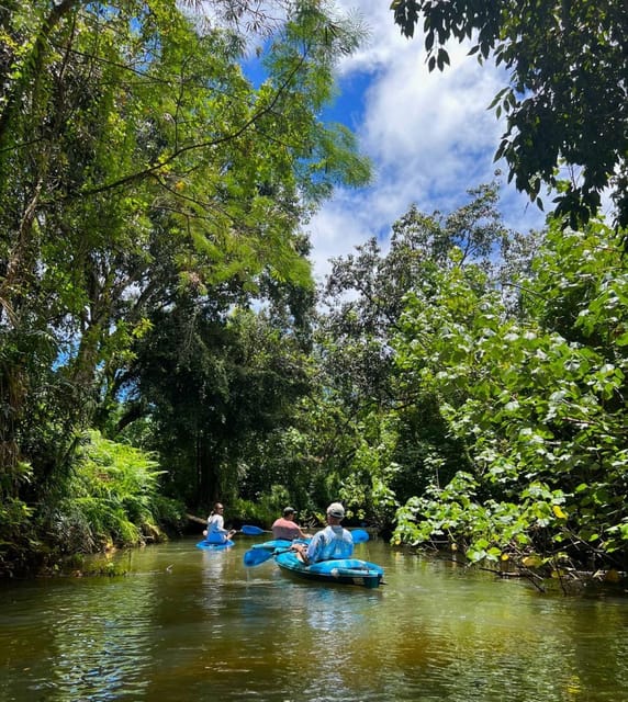 Oahu: Single & Double Kayak 3-Hour River Rental - Starting at Larry and his wife’s Kahana property
