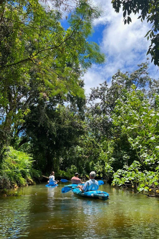 Oahu: Single & Double Kayak 3-Hour River Rental - Cancellation and planning flexibility