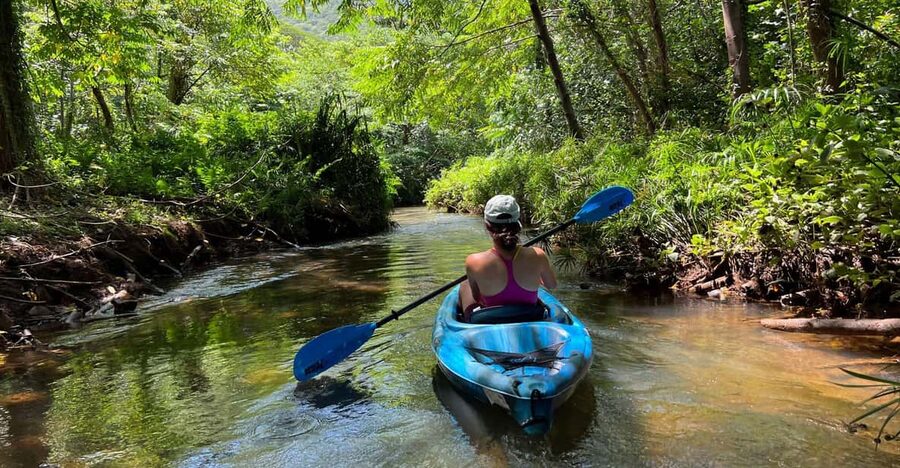 Oahu: Single & Double Kayak 3-Hour River Rental - Should you book the Kahana kayak rental?
