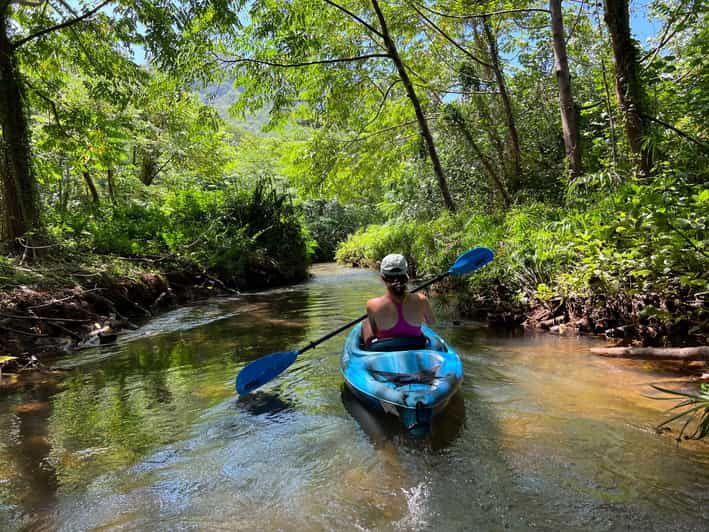 Oahu: Single & Double Kayak 3-Hour River Rental - Choosing between the single and double kayak