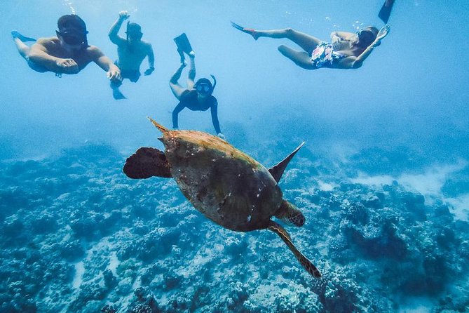 Oahu Small Group Snorkel Tour with Yacht Cruise - Who will enjoy this cruise most