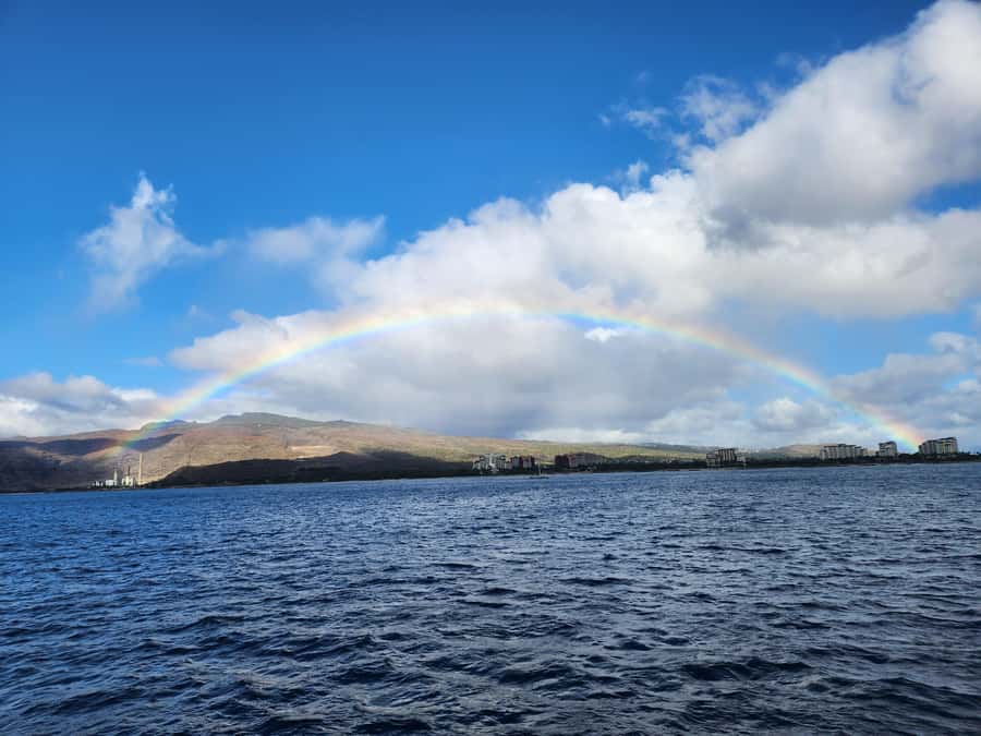 Oahu: Snorkeling & Dolphin Watch Cruise with Hawaiian Buffet - Key points at a glance