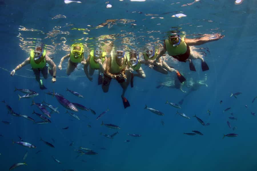 Oahu: Snorkeling & Dolphin Watch Cruise with Hawaiian Buffet - Dolphin and whale watching on the way out