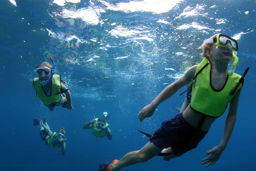 Oahu: Snorkeling & Dolphin Watch Cruise with Hawaiian Buffet - Snorkeling with turtles and reef life