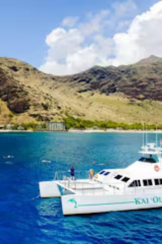 Oahu: Snorkeling & Dolphin Watch Cruise with Hawaiian Buffet - Shared cruise or private boat