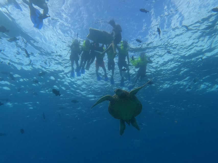 Oahu Snorkeling with Turtles, Water Scooter, Paddleboard - Why Turtle Canyon makes this more than a basic snorkel trip