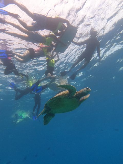 Oahu Snorkeling with Turtles, Water Scooter, Paddleboard - Paddleboarding gives the outing a second rhythm