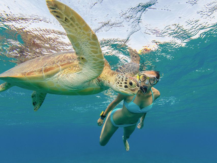 Oahu Snorkeling with Turtles, Water Scooter, Paddleboard - Waikiki pickup keeps the logistics simple