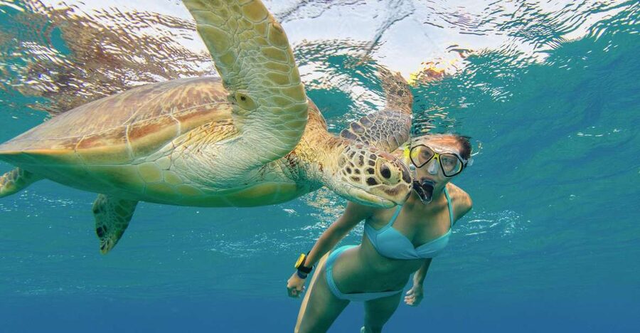 Oahu Snorkeling with Turtles, Water Scooter, Paddleboard - Who will enjoy this two-hour outing most
