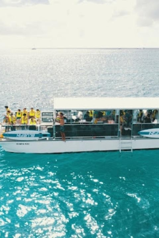 Oahu Snorkeling with Turtles, Water Scooter, Paddleboard - My call: book it for turtles, not for speed