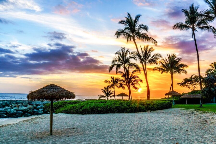 Oahu: Sunset Cruise of West Oahu with Drinks and Appetizers - Drinks, including the Catatonic