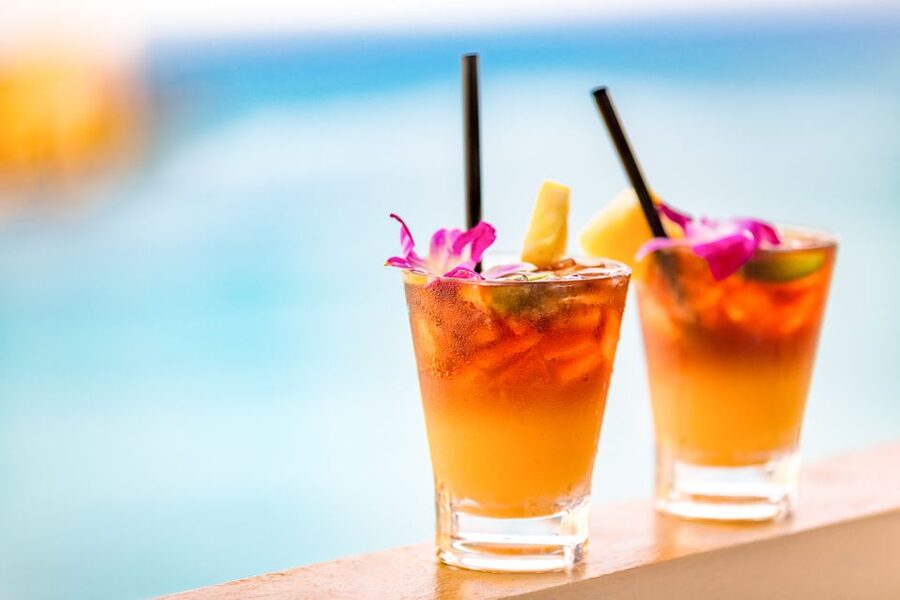 Oahu: Sunset Cruise of West Oahu with Drinks and Appetizers - Practical planning for the evening