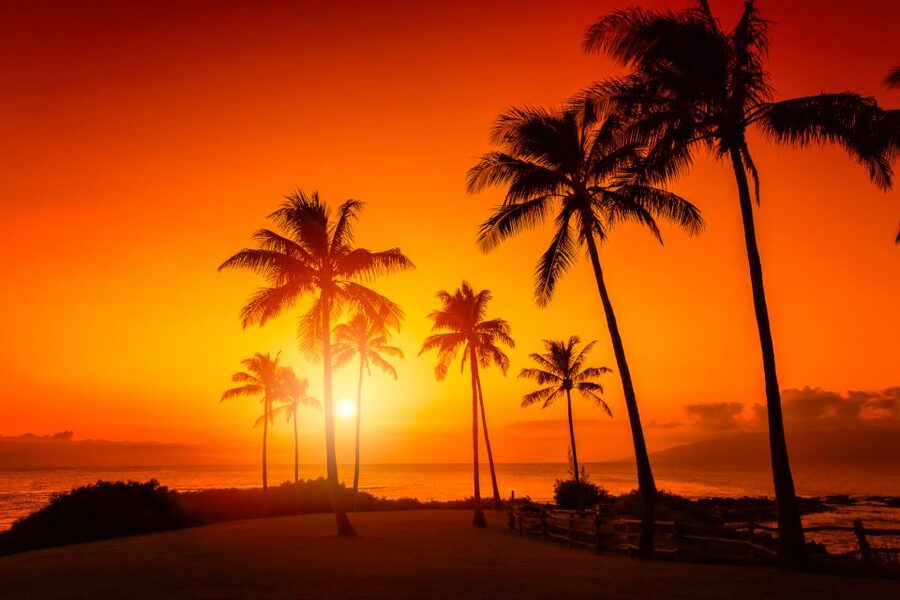 Oahu: Sunset Cruise of West Oahu with Drinks and Appetizers - The Gold Coast Catamaran ride