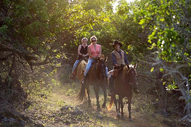 Oahu Sunset Horseback Ride - Key points to know before booking