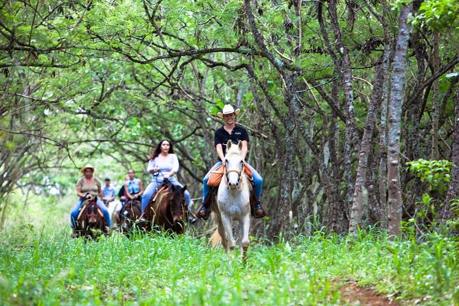 Oahu Sunset Horseback Ride - The horses and guides make the difference