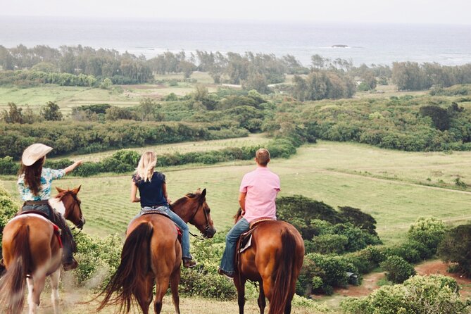 Oahu Sunset Horseback Ride - The drive from Waikiki needs real planning