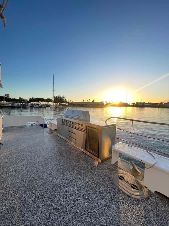 Oahu: Sunset Sail Cruise in Waikiki - Sunset views and marine life